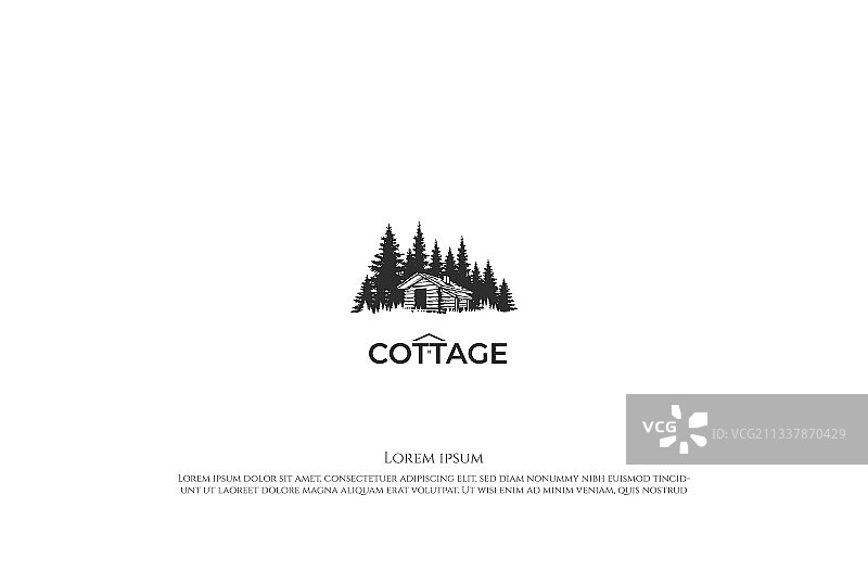 松树雪松云杉针叶树图片素材