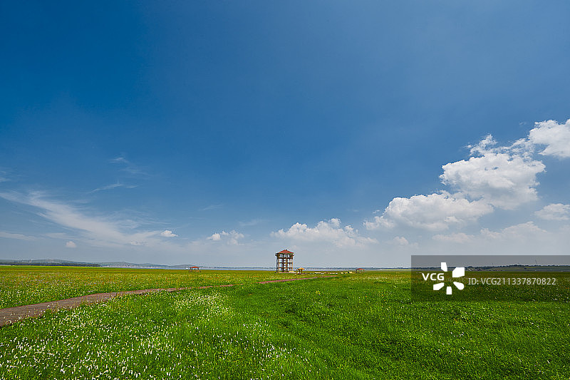 中国河北省张家口沽源县天鹅湖景区湿地花海图片素材