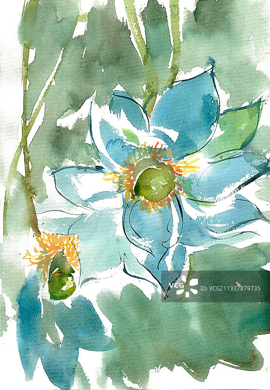 蓝莲花图片素材