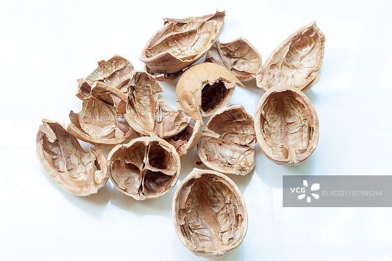 核桃壳图片素材