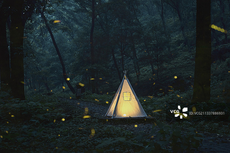 夏日流萤＋南京老山森林公园图片素材