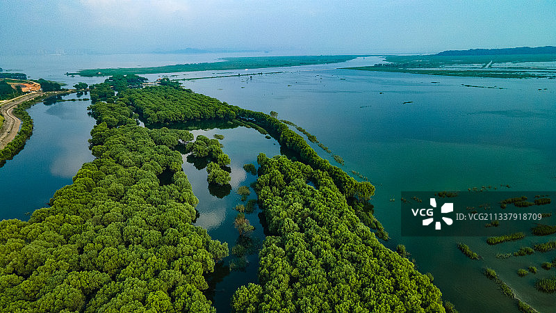 夏天的洞庭湖君山岛图片素材