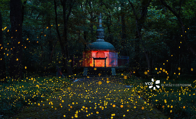 萤火纷飞图片素材