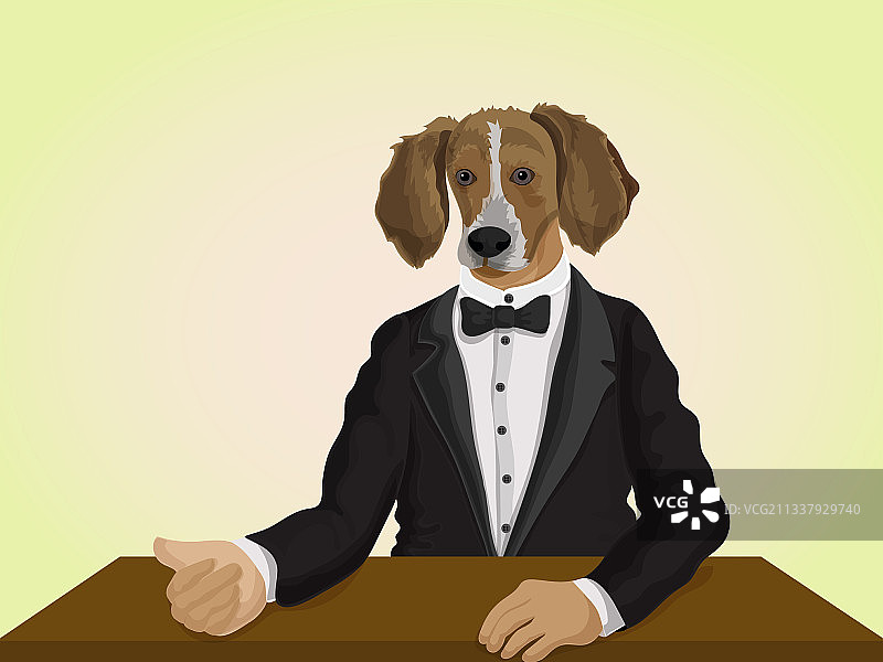穿着西装的人形化小狗设计图片素材