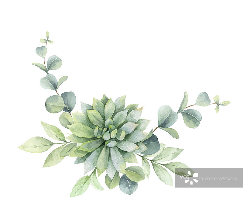 带有桉树枝的水彩花束图片素材
