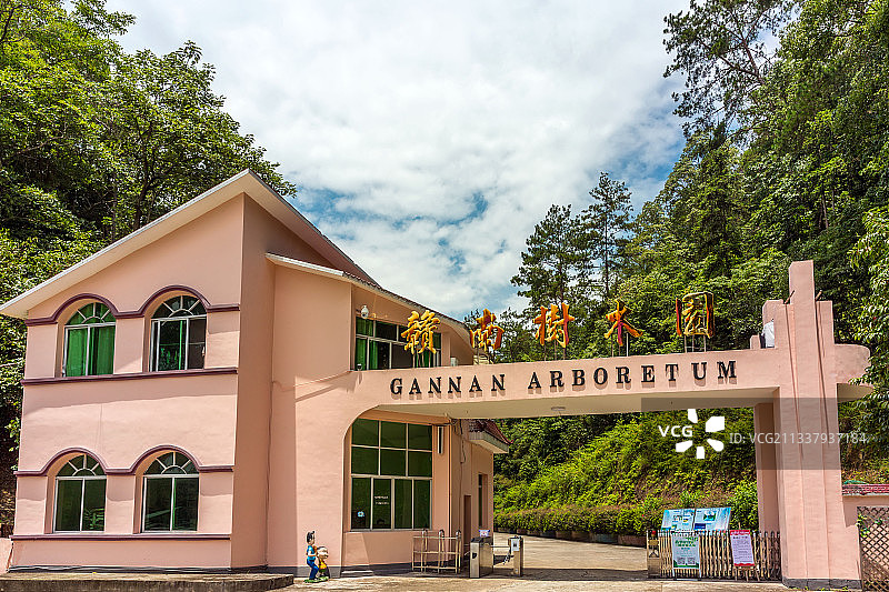 江西赣南树木园图片素材