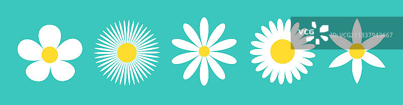 五朵洋甘菊白色雏菊图标线条图片素材