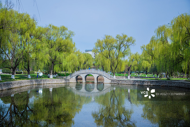 绿色公园图片素材