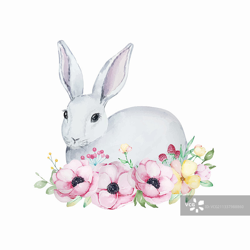可爱灰色和白色复活节兔子水彩画图片素材