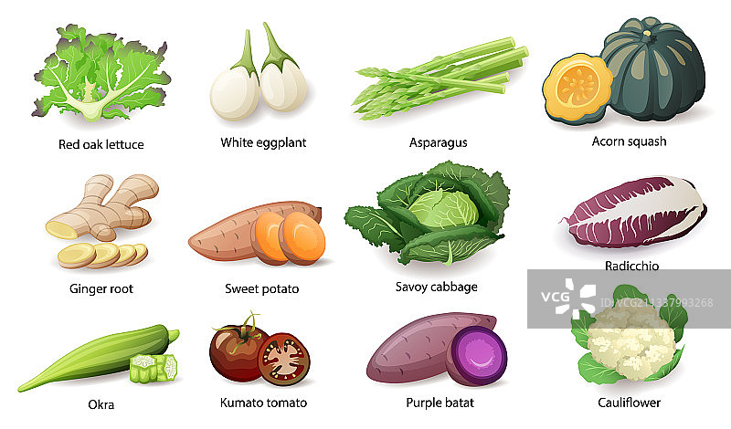带标题的蔬菜扁平化合集图片素材