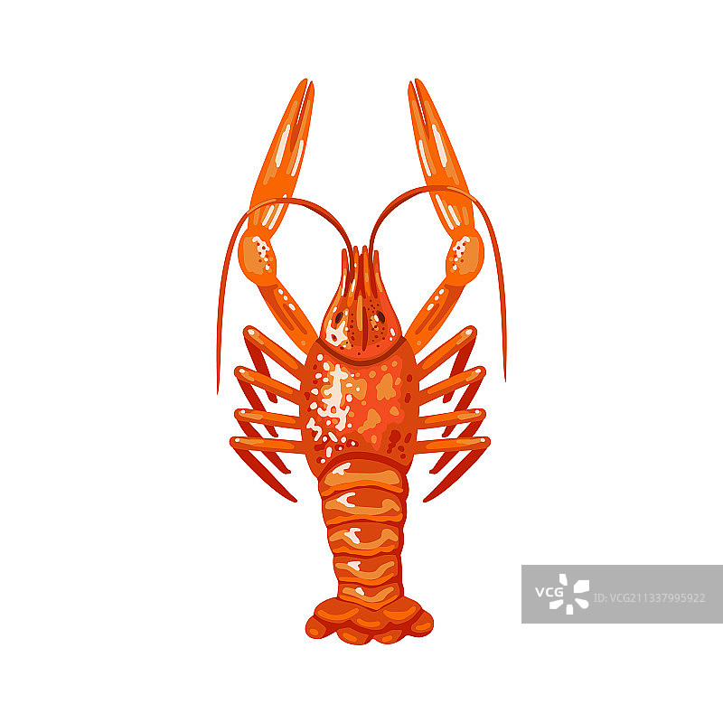 红色小龙虾图片素材