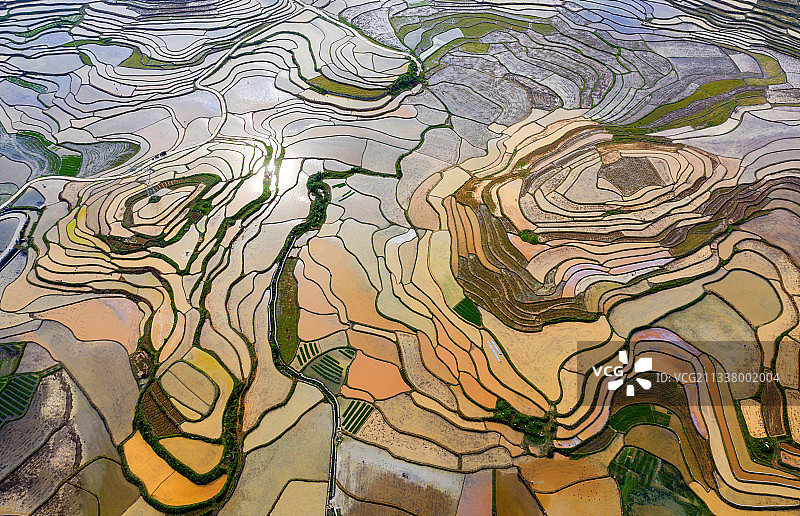 七彩梯田（广西 南丹）图片素材