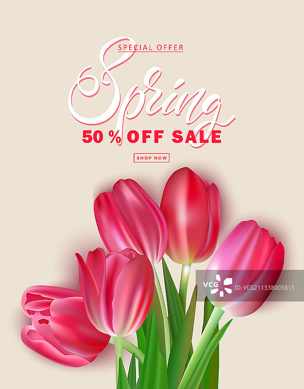 米色背景上的郁金香花束图片素材