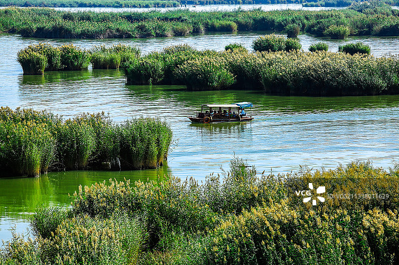 沙湖风光   宁夏图片素材