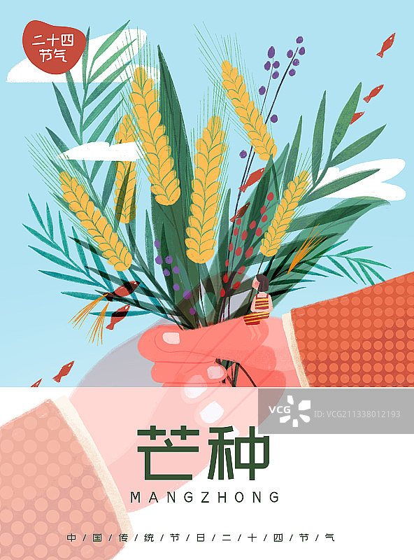 二十四节气-芒种-张贴海报模板图片素材