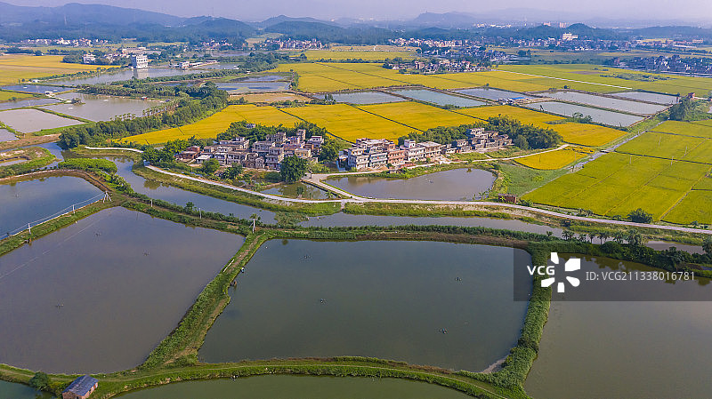 航拍于开平市田园风光。图片素材