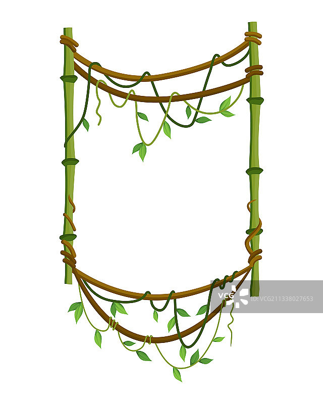 丛林植物枝条热带藤本框架图片素材