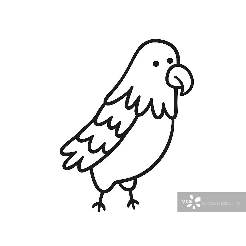 ARA鹦鹉涂鸦图标手绘鸟类图片素材