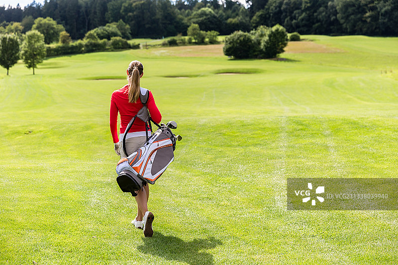 后视图的妇女携带高尔夫球俱乐部袋，而行走在高尔夫球场图片素材