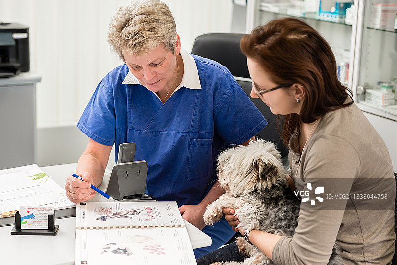 宠物主人与她的狗接受指导的女兽医在诊所图片素材