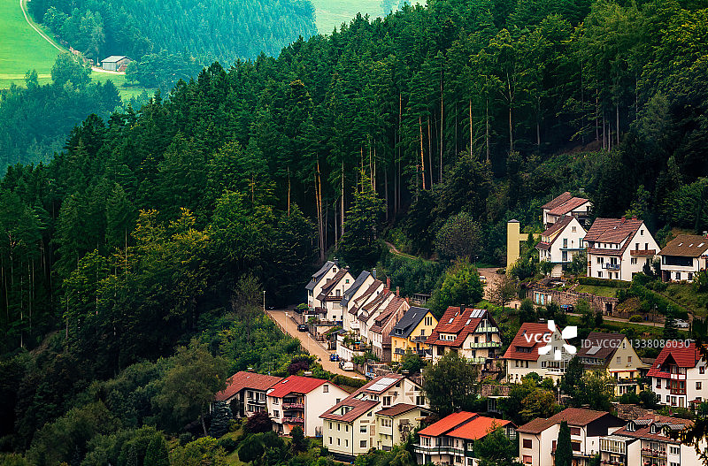 德国特里贝格镇的树木和建筑物（高角度）图片素材