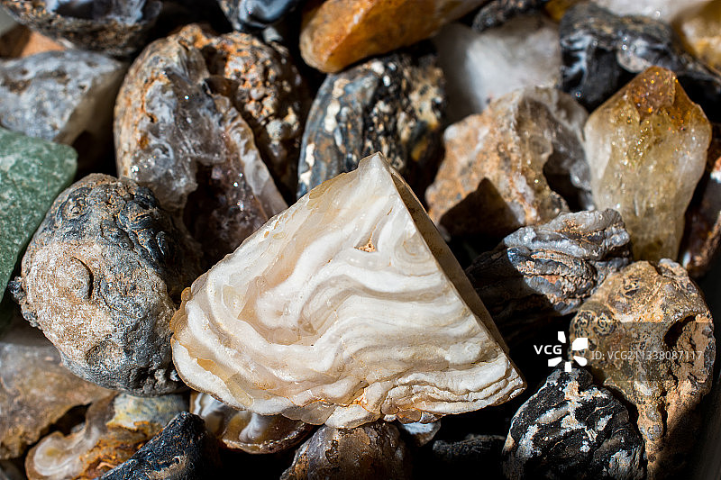 贝壳全景照片图片素材