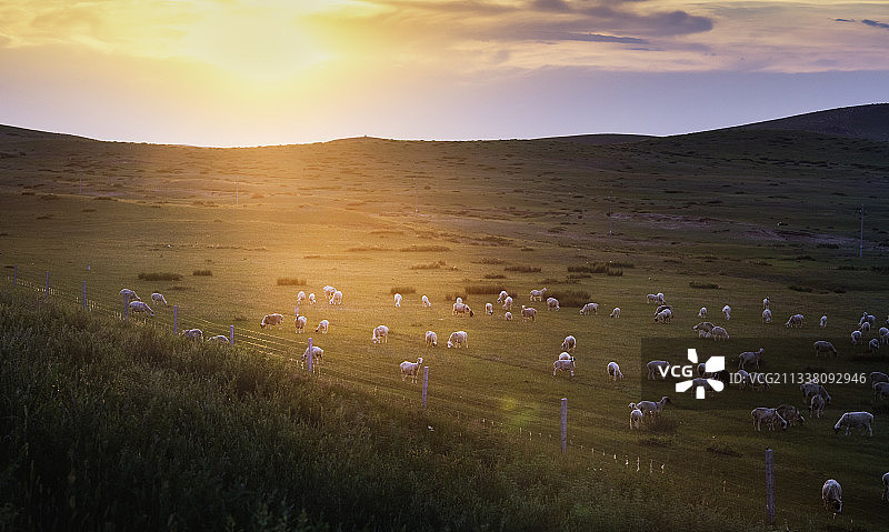内蒙古锡林郭勒草原日落时分图片素材