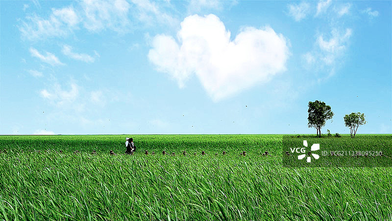 大美湿地风光图片素材