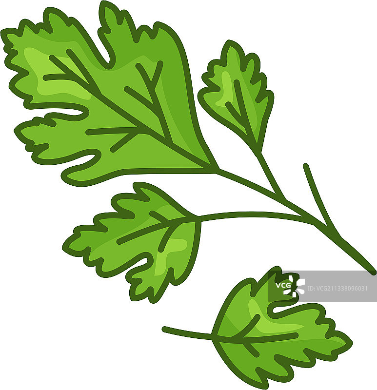 绿色卡通新鲜欧芹图标图片素材