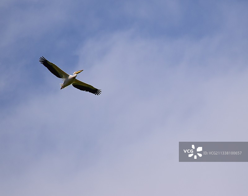 飞机飞过天空的低角度视图图片素材