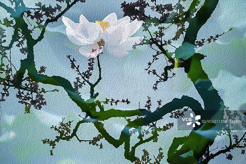 桃花荷花图图片素材