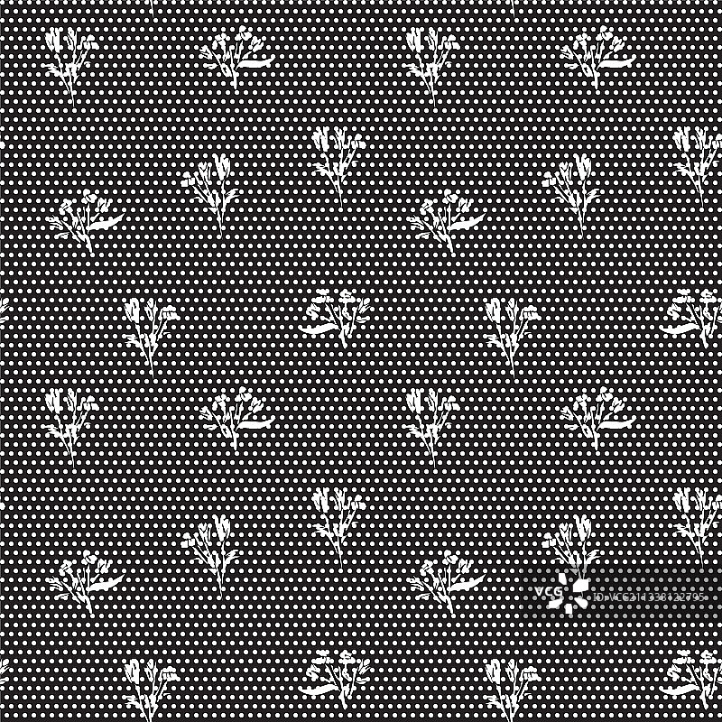 黑白植物热带花卉图案图片素材