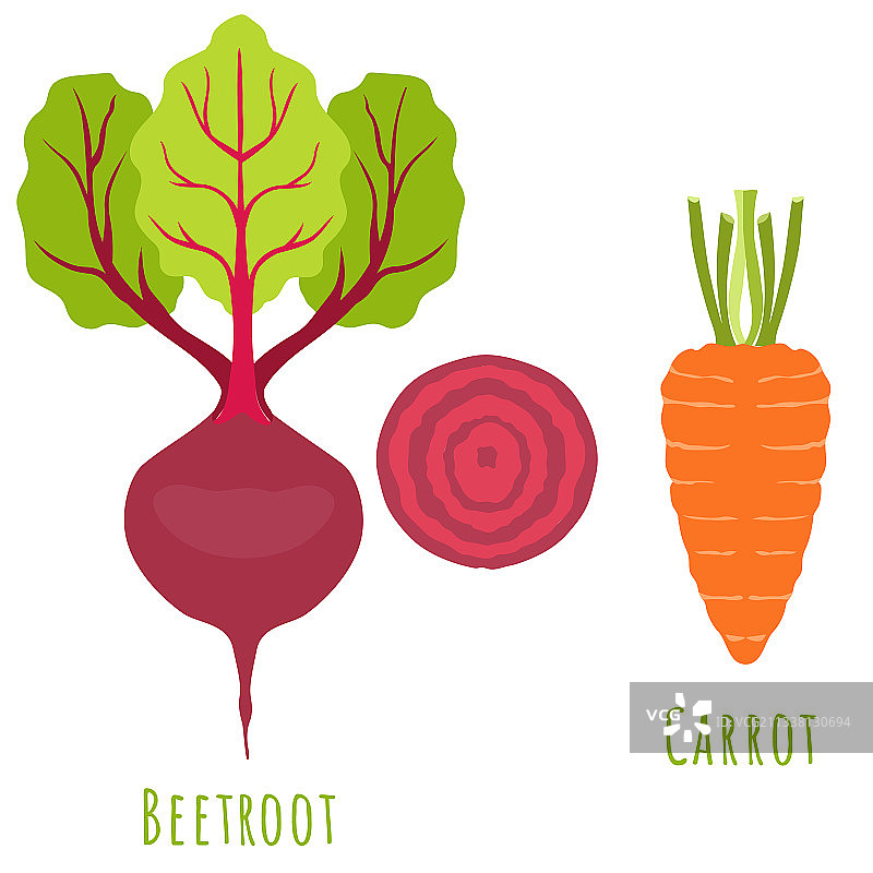 白色背景上的甜菜根植物和胡萝卜图片素材