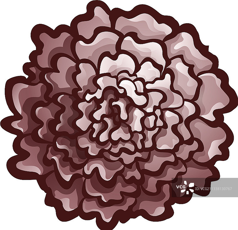 万寿菊花蕾俯视单色图标图片素材