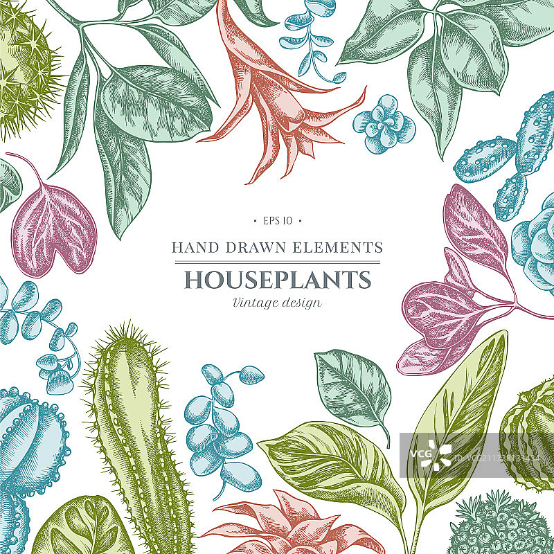 粉色榕树花卉设计图片素材