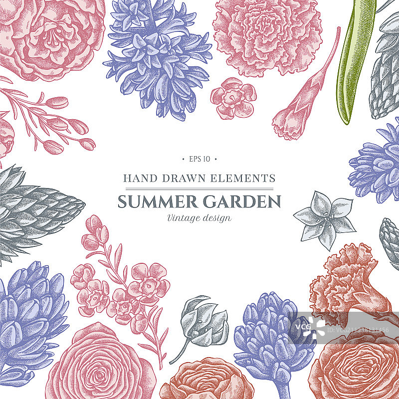 粉色牡丹康乃馨花卉设计图片素材