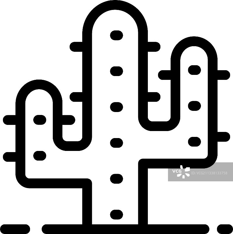 仙人掌图片素材