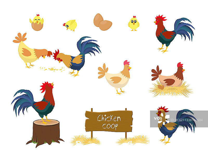 鸡笼套装图片素材