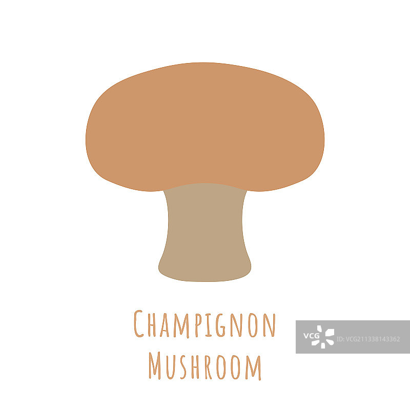 白色背景下的单颗栗蘑图片素材