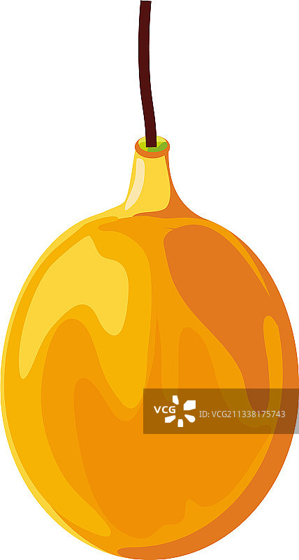 热带水果西番莲图片素材