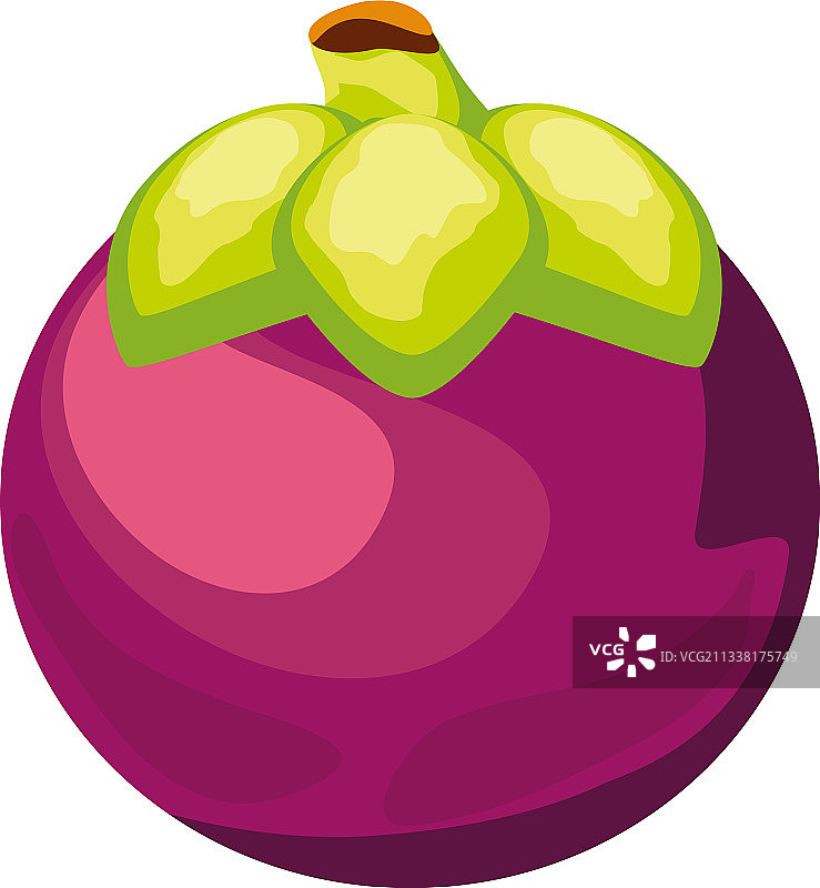 热带水果山竹图片素材