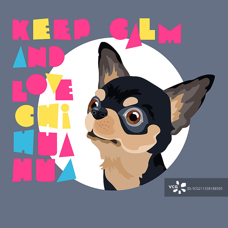 狗的肖像和风格化的吉娃娃铭文图片素材