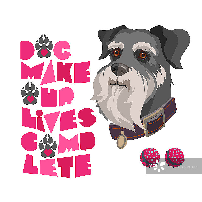 狗狗肖像和风格化的雪纳瑞铭文图片素材