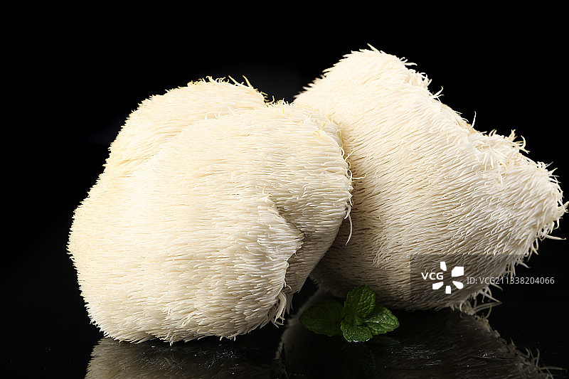 黑石板上的古田猴头菇图片素材