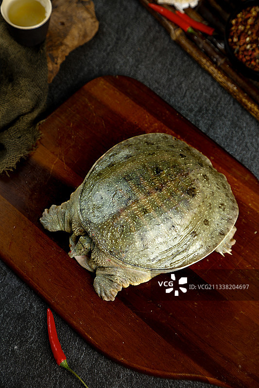 木板上放着大甲鱼图片素材