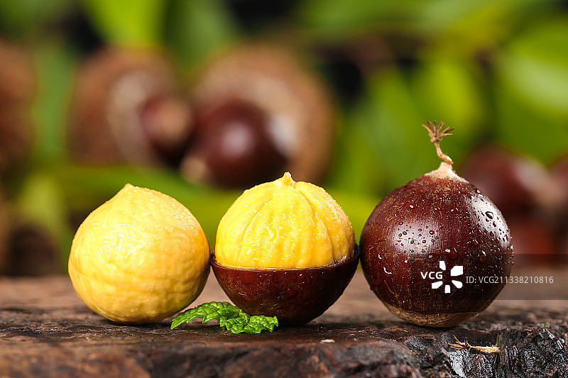 深底上的油锥栗图片素材