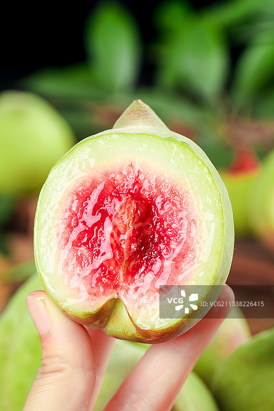 手拿切开的鹰嘴桃图片素材
