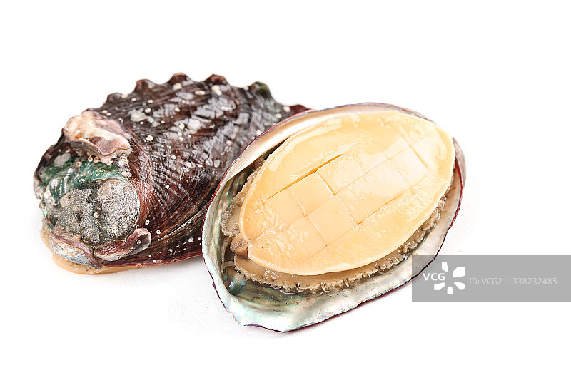 白底上放着新鲜剥开的鲜鲍鱼图片素材