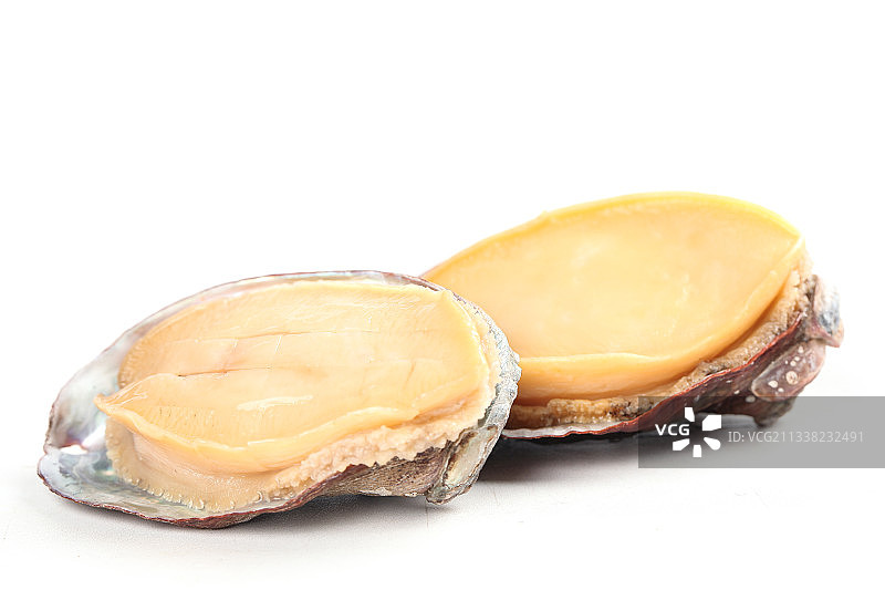 白底上放着鲍鱼图片素材