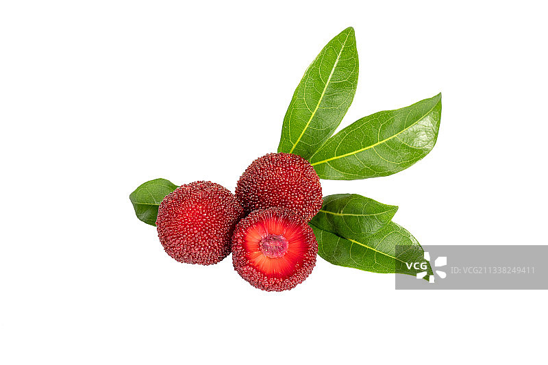 仙居杨梅图片素材